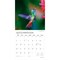 Hummingbirds | 2026 12 x 24 Inch (Hanging) Monthly Square Wall Calendar | Foil Stamped Cover